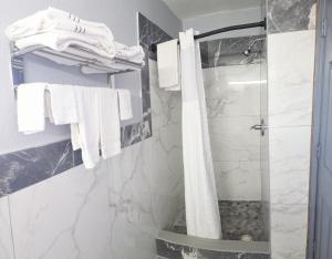 a bathroom with a shower and white towels at Plaza Motel in Joplin