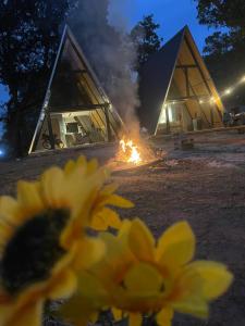 a fire burns in front of a building at night at Chalés parada ideal in Guapimirim