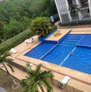 an overhead view of a swimming pool with palm trees at Comfortable suite-style studio apartment to rest in Flandes