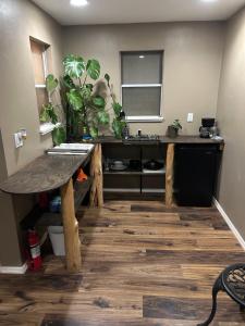 a kitchen with a table with plants on it at Grand Canyon tiny homes in Williams +11 photos
