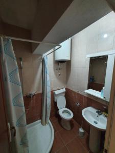 a small bathroom with a toilet and a sink at Vukovic View Apartment in Topla