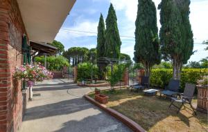a patio with chairs and trees in a yard at Pet Friendly Home In Sinalunga in Sinalunga