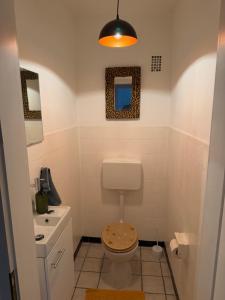 a bathroom with a toilet and a sink at Village Apartment Rheinbreitbach in Rheinbreitbach