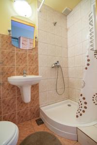 a bathroom with a sink and a toilet and a shower at Pokoje u Karolinki in Zakopane