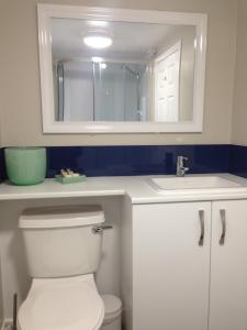 a bathroom with a toilet and a sink and a mirror at Woodside Cottage Self Catering in Kinbuck