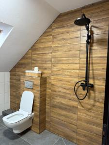 a bathroom with a toilet and a shower at Csodaszarvas Erdeiház in Borzont