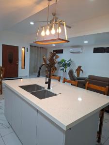 a kitchen with a sink and a counter top at Lions Houses in Parrita