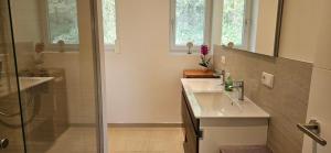a bathroom with a sink and a shower at Ferienhaus Panoramablick Altfalter in Schwarzach bei Nabburg +12 photos