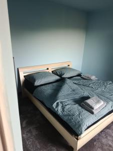 a bed with green sheets and pillows in a room at Apartmán Zdislava in Česká Ves