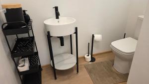a bathroom with a sink and a toilet at Aliise Garden Guesthause in Pärnu +16 photos