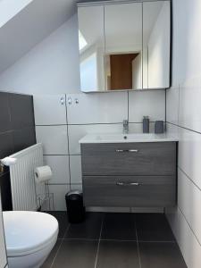 a bathroom with a sink and a toilet and a mirror at Ferienwohnung Amselnest in Seeboden