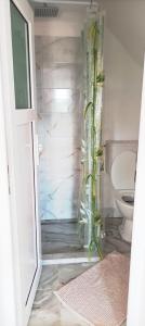 a bathroom with a glass shower with a toilet at Casa Marty in Cârțișoara +19 photos