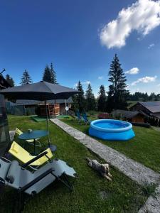 a dog laying in the grass next to a pool at Cabana Apuseni N&D in Mărişel