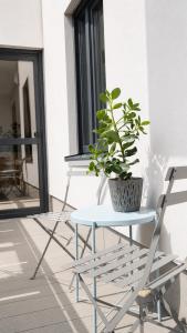 a potted plant sitting on a table next to a chair at Serce Kotliny Kłodzkiej - Apartament 54m2 - 3 pokoje, balkon, ogródek in Kłodzko
