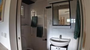 a bathroom with a sink and a mirror at Tiny House Krumlov, Terrace, Parking in Český Krumlov