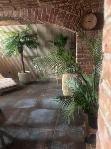 a room with two potted plants and a clock at Osada Narost 37 in Chojna +111 photos