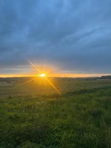 a sun setting in a field with green grass at Osada Narost 37 in Chojna