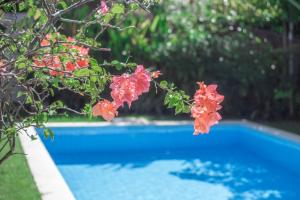 a blue swimming pool with red flowers in front of it at Villa Raquel by Betterplace in Seminyak +24 photos