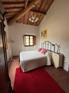 a bedroom with a large bed and a red rug at A casa con Jessie in Quiesa +6 photos