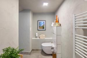 a bathroom with a white toilet in a room at Ferienwohnung am Eichhölzle in Wehr +9 photos