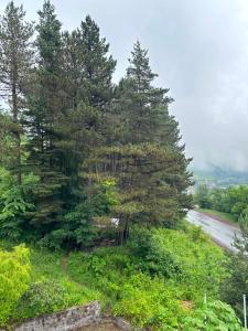 a group of trees on the side of a road at Ararat hotel in Goris