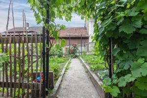 a garden path through a fence with plants at Ferienwohnung am Eichhölzle in Wehr