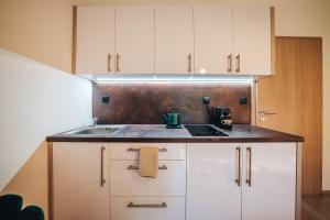 a kitchen with white cabinets and a sink at Apartmán NIC VÍC in Loučná nad Desnou