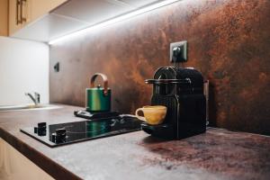a kitchen counter with a coffee maker on a stove at Apartmán NIC VÍC in Loučná nad Desnou