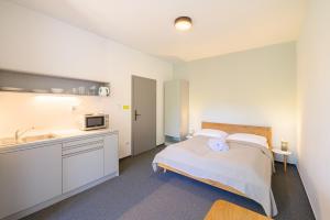a bedroom with a bed and a sink and a microwave at Vila Matliare in Tatranská Lomnica