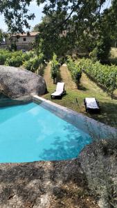 a swimming pool with two lounge chairs next to a garden at Quinta Pousada de Fora Wines & Tourism in Guimarães