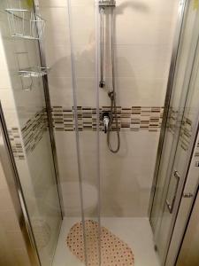 a shower with a glass door in a bathroom at Bellezia in Turin