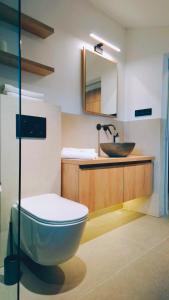 a bathroom with a toilet and a sink at Marisel Escape Chalet in Mărişel +30 photos