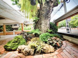 a large tree in the middle of a building with plants at Big Tree Old Town Hotel in Chiang Mai