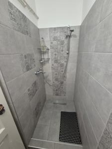 a bathroom with a shower with a glass door at Silentium Clavem Domus II. in Satu Mare +43 photos