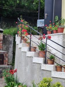 a set of stairs with potted plants on them at Sun ray in Ch'ik'unet'i
