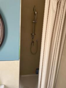 a shower in a bathroom with a shower curtain at Chagall Pascoli 10 in Asti