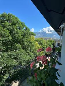 a view of a mountain from a balcony with flowers at Silver Stone Studio Apartments in Gjirokastër