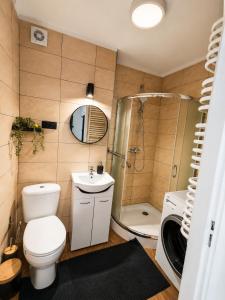 a bathroom with a toilet and a shower and a sink at Zielone drzwi in Żywiec