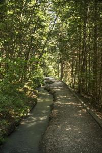 a road in the middle of a forest with trees at Charmant appartement avec balcon et parking privé in Lens