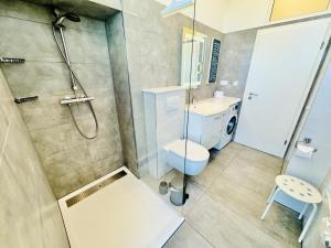 a small bathroom with a shower and a toilet at Berringer, Barsch, direkt an der Promenade in Warnemünde +15 photos