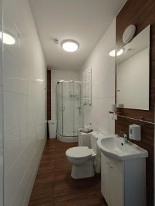 a bathroom with a toilet and a shower and a sink at Dworek pod świerkami in Jelenia Góra +48 photos
