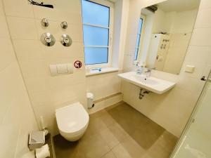 a bathroom with a toilet and a sink at Landhaus Immenbarg, Lobby in Warnemünde