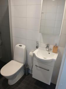 a white bathroom with a toilet and a sink at Cozy Studio Järvenpää in Järvenpää