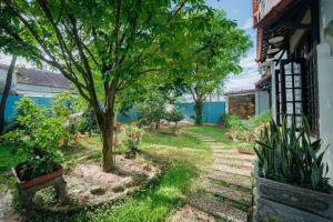 a garden with a tree and a walkway at Live like a local Homestay in Ấp Tư Tây