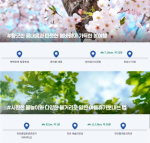 a website screenshot of the cherry blossoms website at Mitasuya Ryokan Hotel by Anook Cheonan in Cheonan