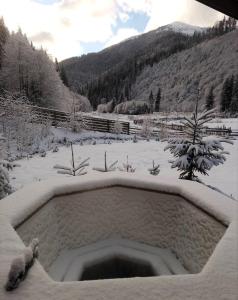 a hot tub covered in snow in a snow covered field at Котедж Перша Хата in Synevyrsʼka Polyana
