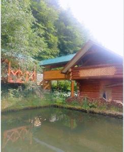 a building with a pond in front of a house at Котедж Перша Хата in Synevyrsʼka Polyana