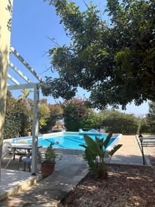 a swimming pool with a picnic table and a tree at Queen Evridiki in Peyia