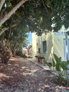 a building with a picnic table under a tree at Queen Evridiki in Peyia