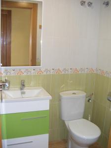 ロス・アルカサレスにあるApartamentos Espejoのバスルーム(トイレ、洗面台付)